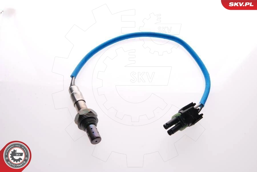 Oxygen Sensor